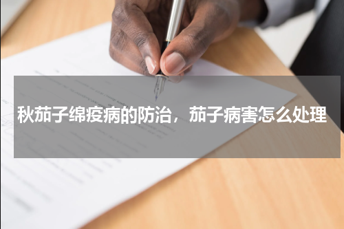 秋茄子绵疫病的防治，茄子病害怎么处理