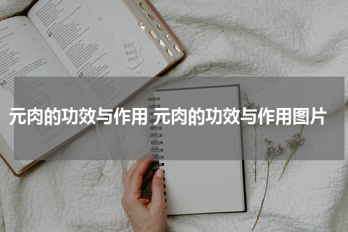 元肉的功效与作用 元肉的功效与作用图片