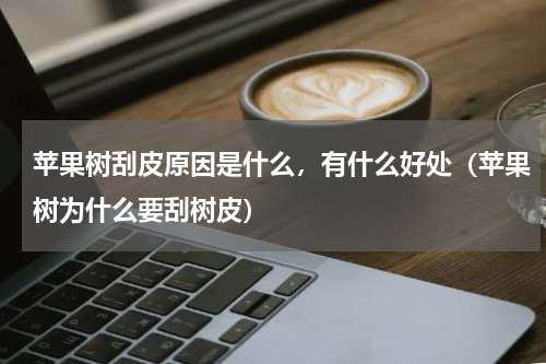苹果树刮皮原因是什么，有什么好处（苹果树为什么要刮树皮）