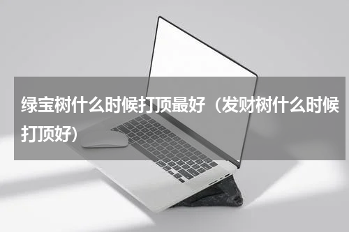 绿宝树什么时候打顶最好（发财树什么时候打顶好）