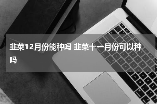 韭菜12月份能种吗 韭菜十一月份可以种吗