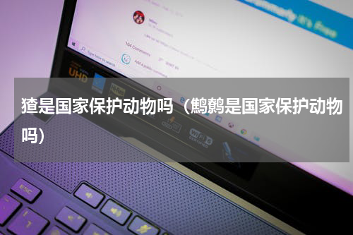 猹是国家保护动物吗（鹪鹩是国家保护动物吗）