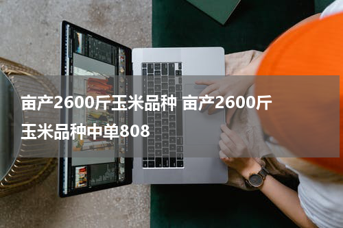 亩产2600斤玉米品种 亩产2600斤玉米品种中单808