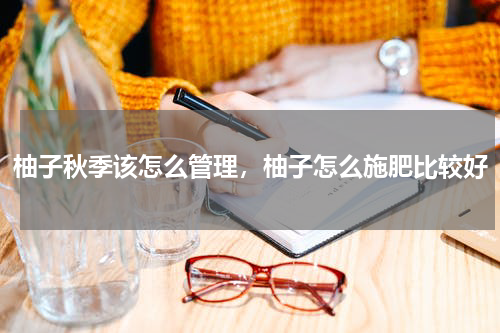 柚子秋季该怎么管理，柚子怎么施肥比较好