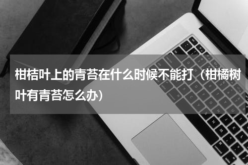 柑桔叶上的青苔在什么时候不能打（柑橘树叶有青苔怎么办）