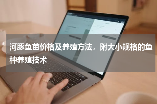 河豚鱼苗价格及养殖方法，附大小规格的鱼种养殖技术