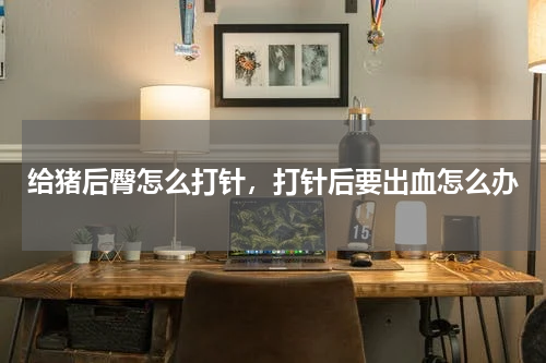 给猪后臀怎么打针，打针后要出血怎么办