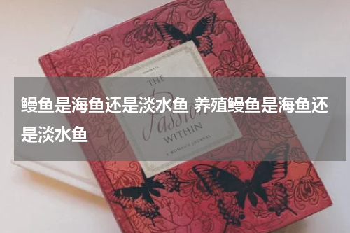 鳗鱼是海鱼还是淡水鱼 养殖鳗鱼是海鱼还是淡水鱼