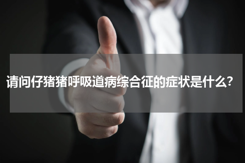 请问仔猪猪呼吸道病综合征的症状是什么？