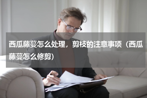 西瓜藤蔓怎么处理，剪枝的注意事项（西瓜藤蔓怎么修剪）