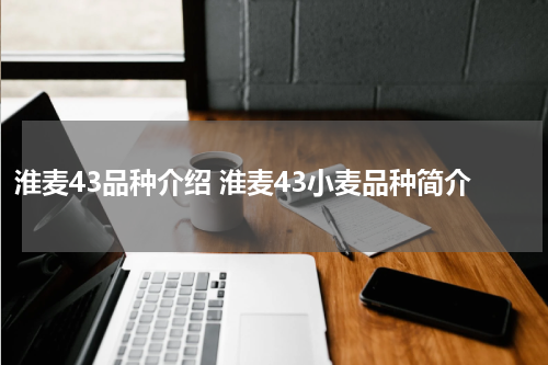 淮麦43品种介绍 淮麦43小麦品种简介