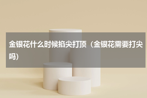 金银花什么时候掐尖打顶（金银花需要打尖吗）