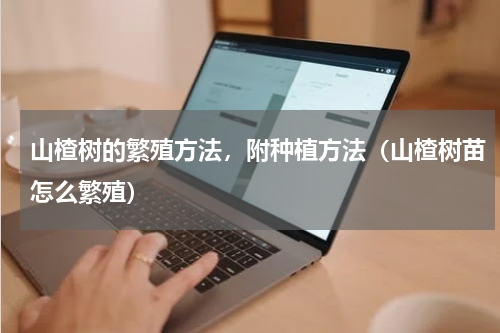 山楂树的繁殖方法，附种植方法（山楂树苗怎么繁殖）