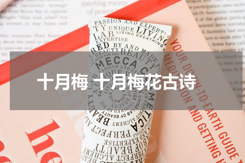 十月梅 十月梅花古诗