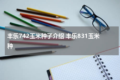 丰乐742玉米种子介绍 丰乐831玉米种