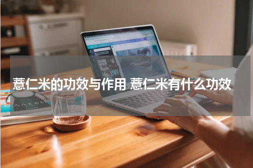 薏仁米的功效与作用 薏仁米有什么功效