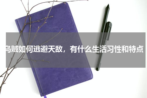 乌贼如何逃避天敌，有什么生活习性和特点