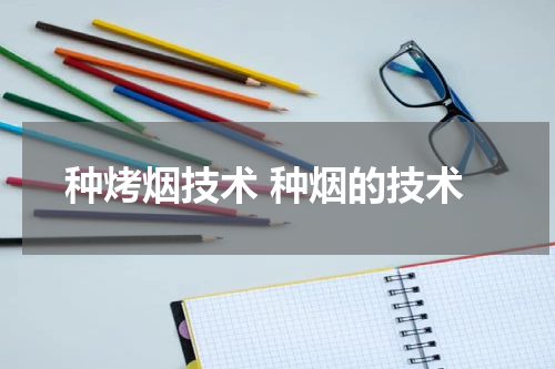 种烤烟技术 种烟的技术