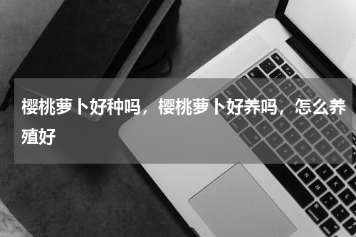 樱桃萝卜好种吗，樱桃萝卜好养吗，怎么养殖好