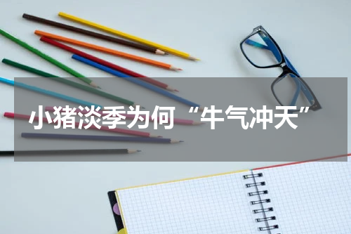 小猪淡季为何“牛气冲天”