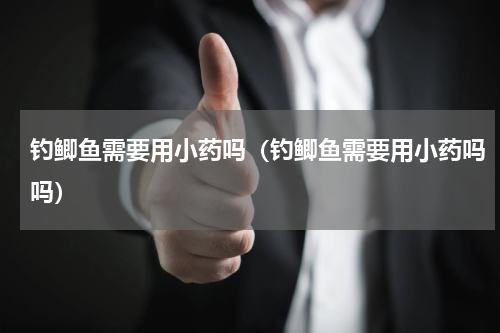 钓鲫鱼需要用小药吗（钓鲫鱼需要用小药吗吗）
