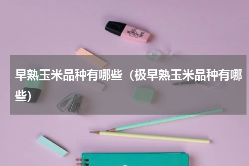 早熟玉米品种有哪些（极早熟玉米品种有哪些）
