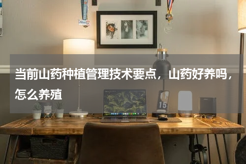 当前山药种植管理技术要点，山药好养吗，怎么养殖