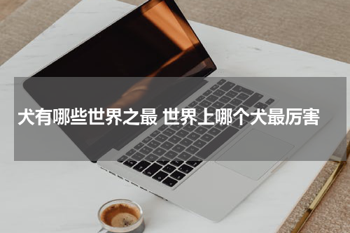犬有哪些世界之最 世界上哪个犬最厉害