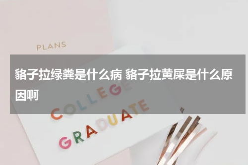 貉子拉绿粪是什么病 貉子拉黄屎是什么原因啊