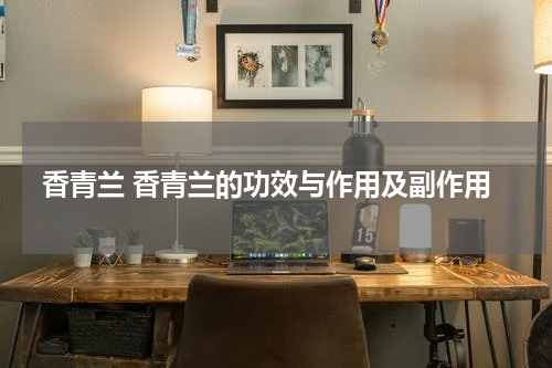 香青兰 香青兰的功效与作用及副作用