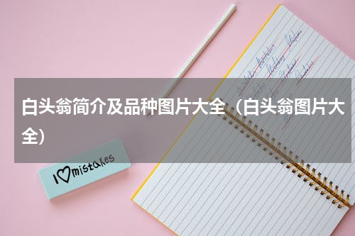 白头翁简介及品种图片大全（白头翁图片大全）
