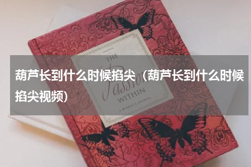 葫芦长到什么时候掐尖（葫芦长到什么时候掐尖视频）
