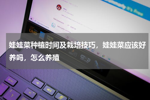 娃娃菜种植时间及栽培技巧，娃娃菜应该好养吗，怎么养殖