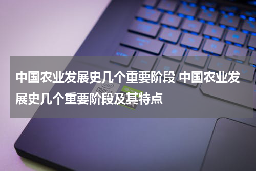 中国农业发展史几个重要阶段 中国农业发展史几个重要阶段及其特点