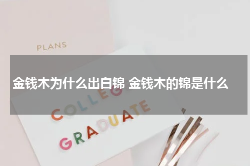 金钱木为什么出白锦 金钱木的锦是什么