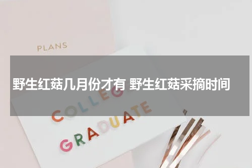野生红菇几月份才有 野生红菇采摘时间