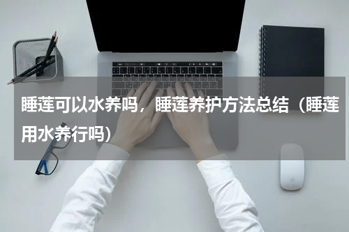 睡莲可以水养吗，睡莲养护方法总结（睡莲用水养行吗）