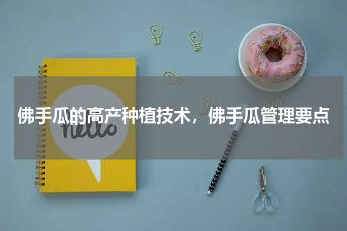 佛手瓜的高产种植技术，佛手瓜管理要点