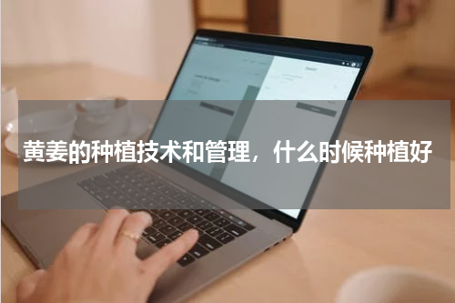 黄姜的种植技术和管理，什么时候种植好