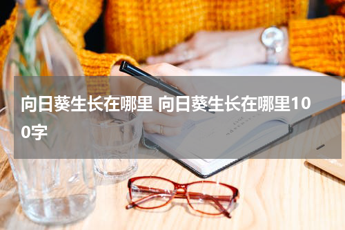 向日葵生长在哪里 向日葵生长在哪里100字
