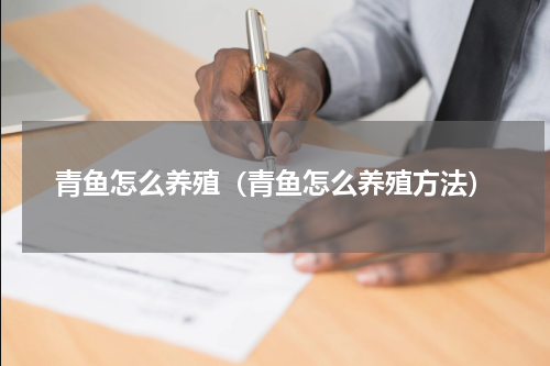 青鱼怎么养殖（青鱼怎么养殖方法）