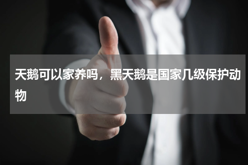 天鹅可以家养吗，黑天鹅是国家几级保护动物