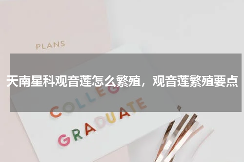 天南星科观音莲怎么繁殖，观音莲繁殖要点