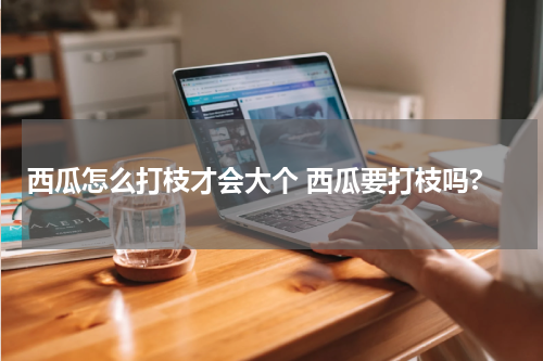 西瓜怎么打枝才会大个 西瓜要打枝吗?