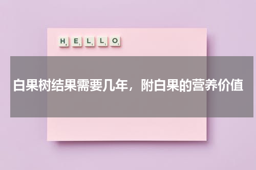 白果树结果需要几年，附白果的营养价值