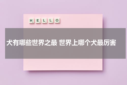 犬有哪些世界之最 世界上哪个犬最厉害