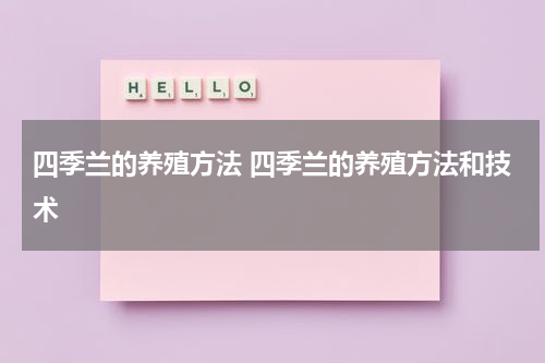 四季兰的养殖方法 四季兰的养殖方法和技术