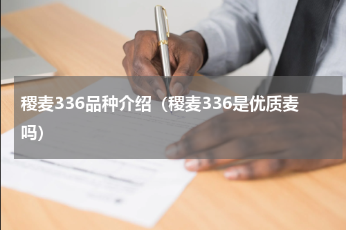 稷麦336品种介绍（稷麦336是优质麦吗）