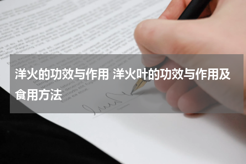 洋火的功效与作用 洋火叶的功效与作用及食用方法