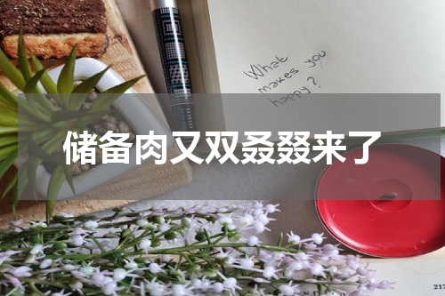 储备肉又双叒叕来了